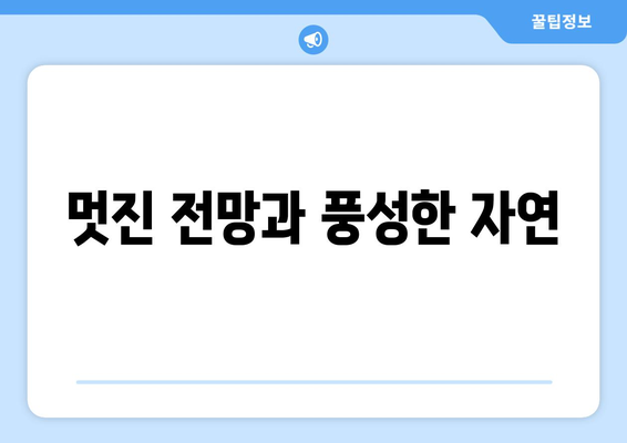 팬션 이용 후기: 실제 경험 공유하기