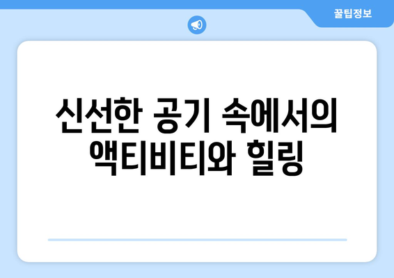 팬션으로 떠나는 겨울철 스키 여행