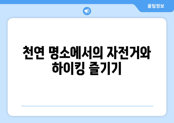 팬션에서의 액티비티: 자전거 타기와 하이킹