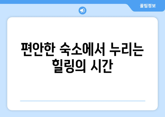 팬션으로 떠나는 자연 속 힐링 여행