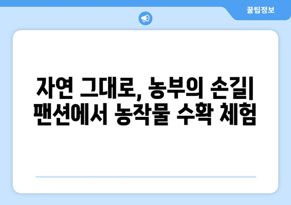 팬션에서 만나는 지역 특산물 체험