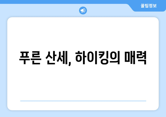 팬션에서의 액티비티: 자전거 타기와 하이킹