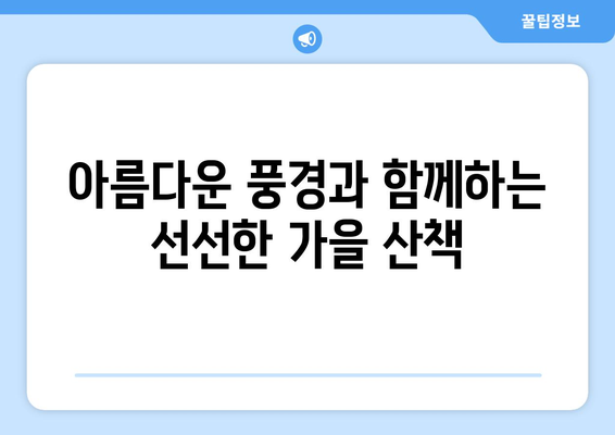 팬션에서 즐기는 자연 속 산책로