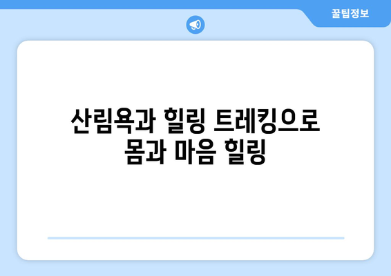 팬션에서 즐기는 다양한 액티비티 추천