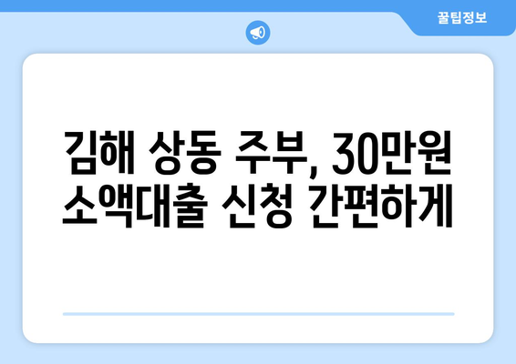 경상남도 김해시 상동 주부 소액 30만원 대출