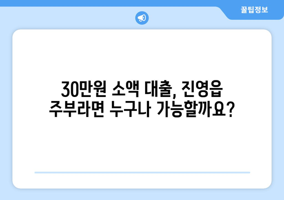 경상남도 김해시 진영읍 주부 소액 30만원 대출