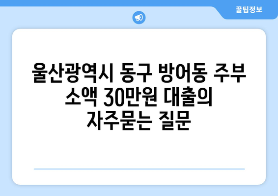 울산광역시 동구 방어동 주부 소액 30만원 대출