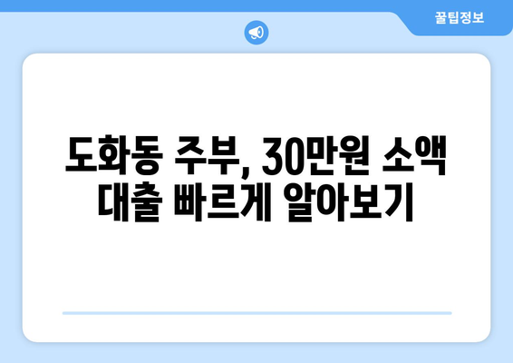 인천광역시 남구 도화동 주부 소액 30만원 대출