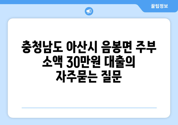 충청남도 아산시 음봉면 주부 소액 30만원 대출