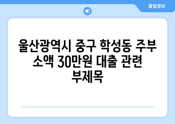 울산광역시 중구 학성동 주부 소액 30만원 대출