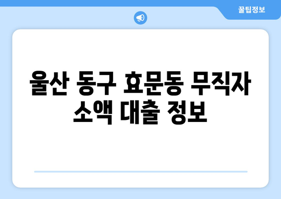 울산광역시 동구 효문동 무직자 소액 30만원 대출