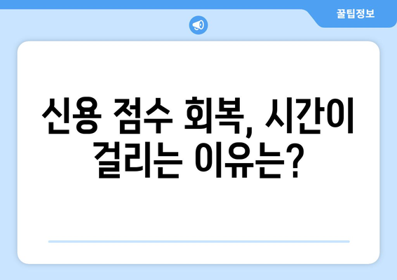 대출 상환 후 신용 점수 회복을 위한 방법