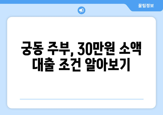 대전광역시 유성구 궁동 주부 소액 30만원 대출