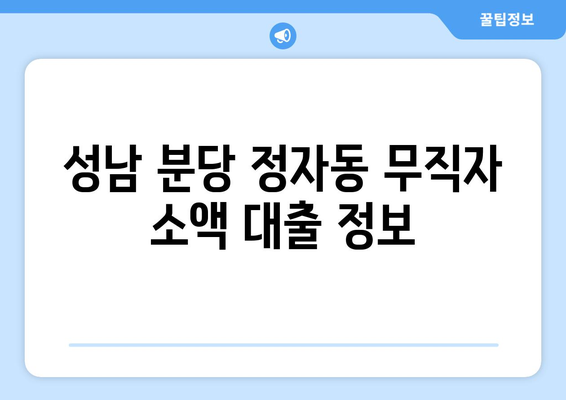 성남시 분당구 정자동 무직자 소액 30만원 대출