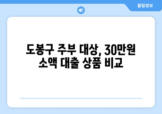 서울특별시 도봉구 도봉동 주부 소액 30만원 대출