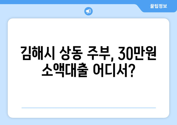 경상남도 김해시 상동 주부 소액 30만원 대출