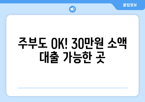 서울특별시 서초구 서초동 주부 소액 30만원 대출