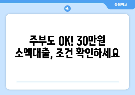 충청남도 아산시 배방읍 주부 소액 30만원 대출