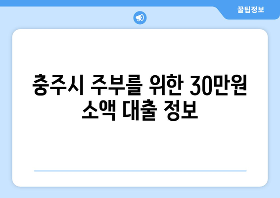 충청북도 충주시 교현1동 주부 소액 30만원 대출