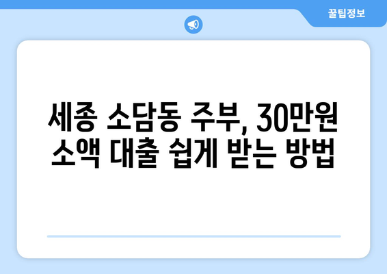 세종특별자치시 소담동 주부 소액 30만원 대출