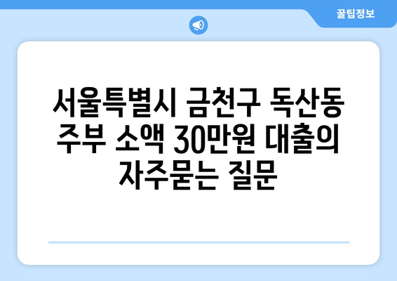 서울특별시 금천구 독산동 주부 소액 30만원 대출