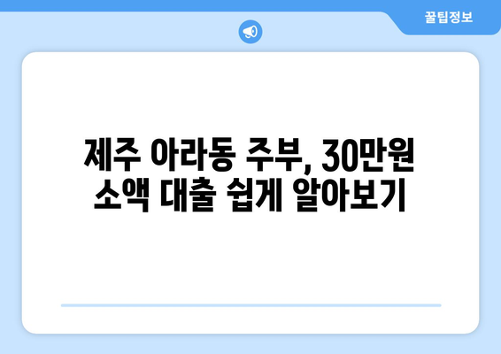 제주특별자치도 제주시 아라동 주부 소액 30만원 대출