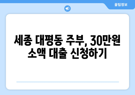 세종특별자치시 대평동 주부 소액 30만원 대출