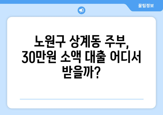 서울특별시 노원구 상계동 주부 소액 30만원 대출