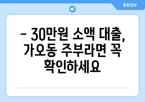 대전광역시 동구 가오동 주부 소액 30만원 대출