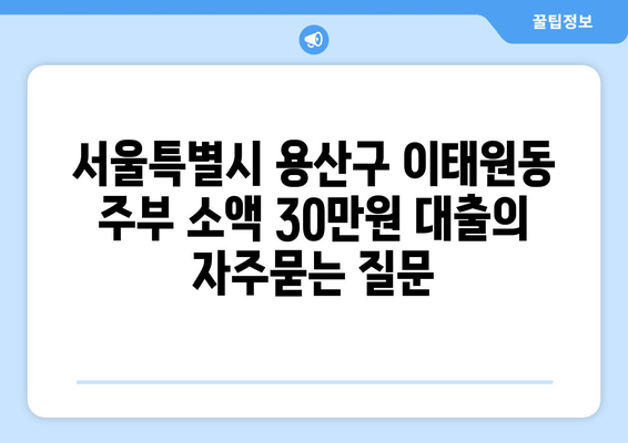 서울특별시 용산구 이태원동 주부 소액 30만원 대출