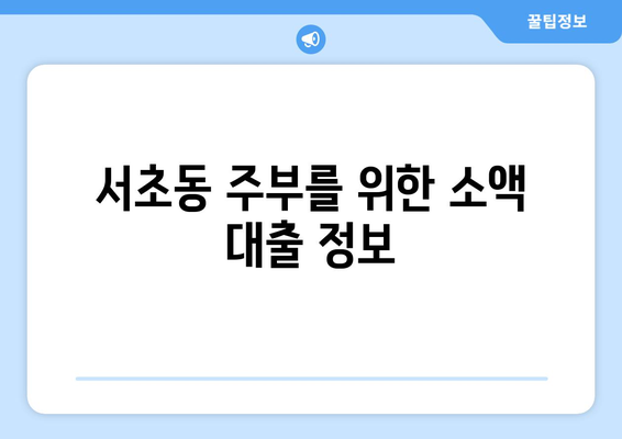 서울특별시 서초구 서초동 주부 소액 30만원 대출