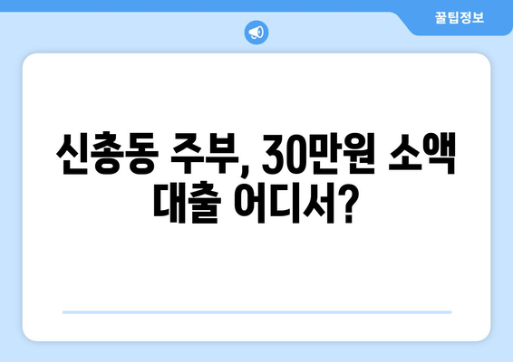 서울특별시 서대문구 신총동 주부 소액 30만원 대출