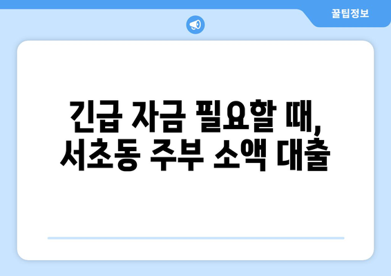 서울특별시 서초구 서초동 주부 소액 30만원 대출