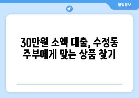 성남시 수정구 수정동 주부 소액 30만원 대출