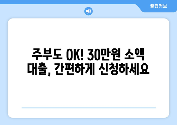 부산광역시 서구 내당동 주부 소액 30만원 대출