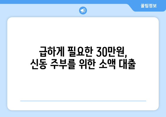 전라북도 익산시 신동 주부 소액 30만원 대출