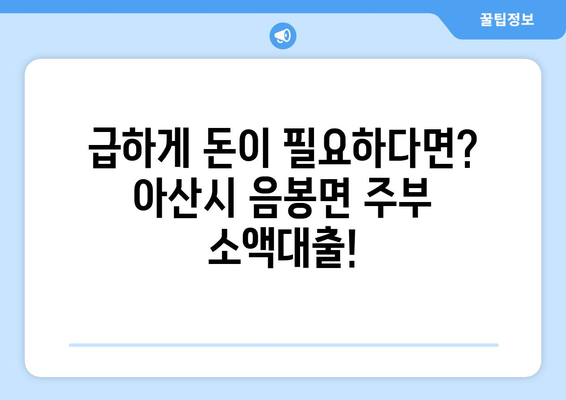 충청남도 아산시 음봉면 주부 소액 30만원 대출