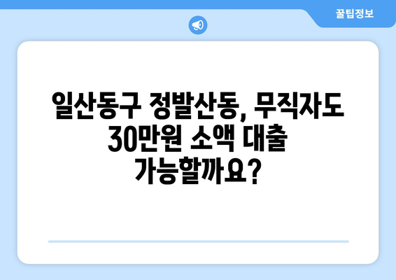 고양시 일산동구 정발산동 무직자 소액 30만원 대출