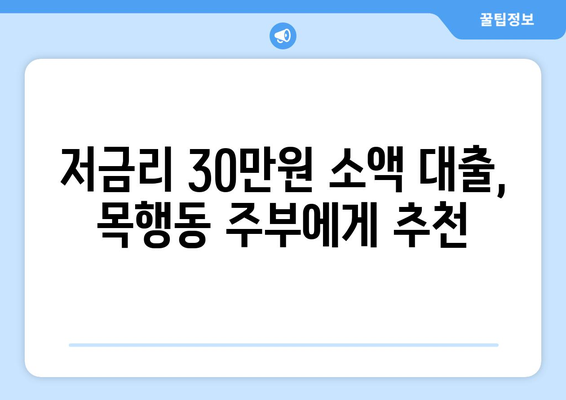 충청북도 충주시 목행동 주부 소액 30만원 대출