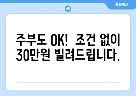 고양시 일산동구 백석동 주부 소액 30만원 대출