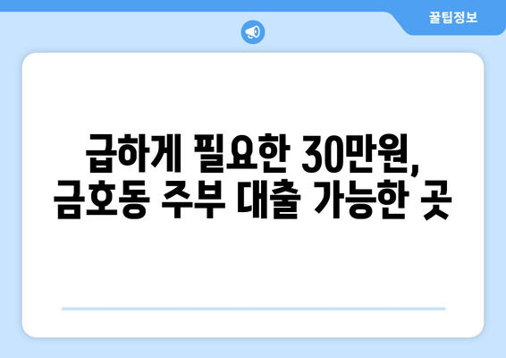 광주광역시 서구 금호동 주부 소액 30만원 대출