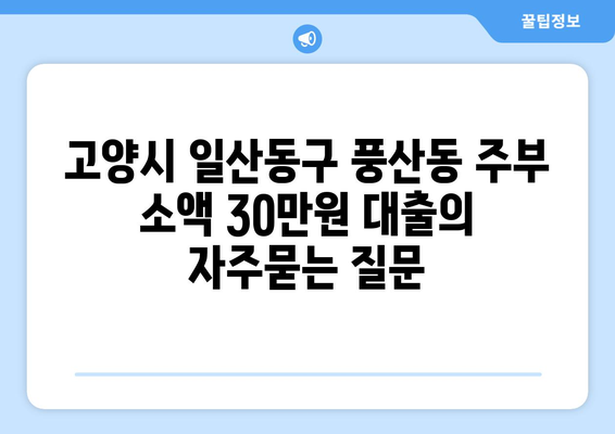 고양시 일산동구 풍산동 주부 소액 30만원 대출