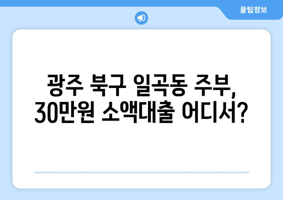 광주광역시 북구 일곡동 주부 소액 30만원 대출