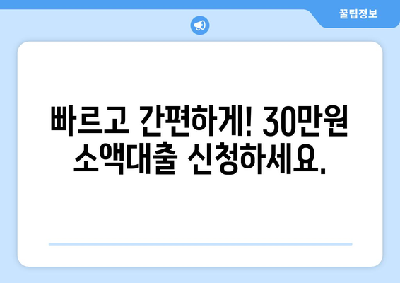 서울특별시 성북구 정릉동 주부 소액 30만원 대출