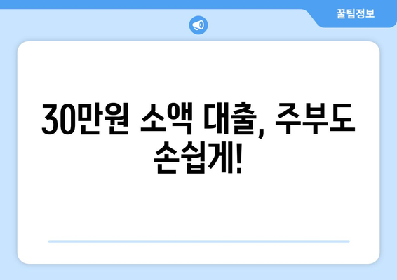 서울특별시 송파구 잠실동 주부 소액 30만원 대출