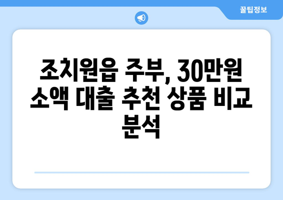 세종특별자치시 세종시 조치원읍 주부 소액 30만원 대출