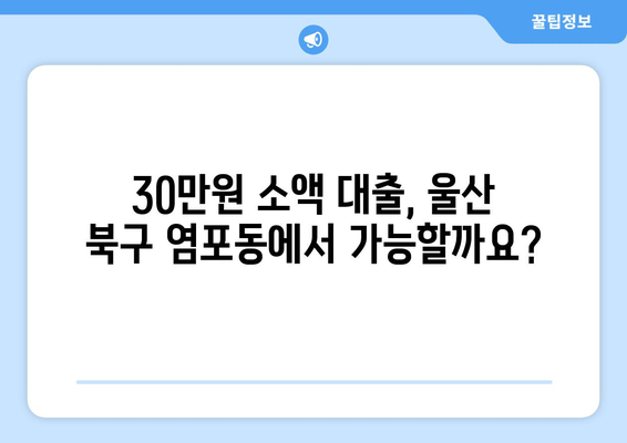 울산광역시 북구 염포동 무직자 소액 30만원 대출