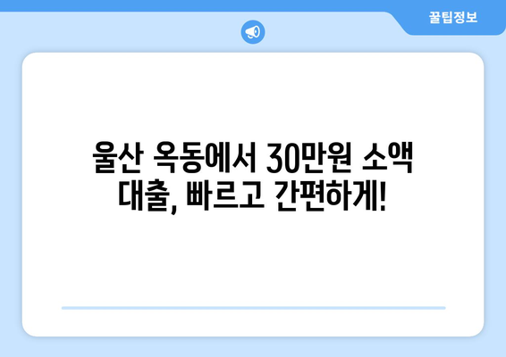 울산광역시 남구 옥동 주부 소액 30만원 대출