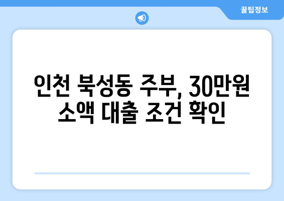 인천광역시 중구 북성동 주부 소액 30만원 대출