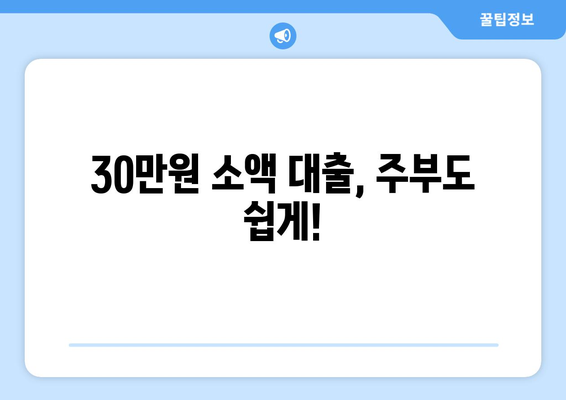 전라북도 덕진구 인후동 주부 소액 30만원 대출